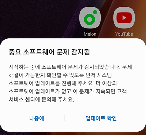 소프트웨어 문제