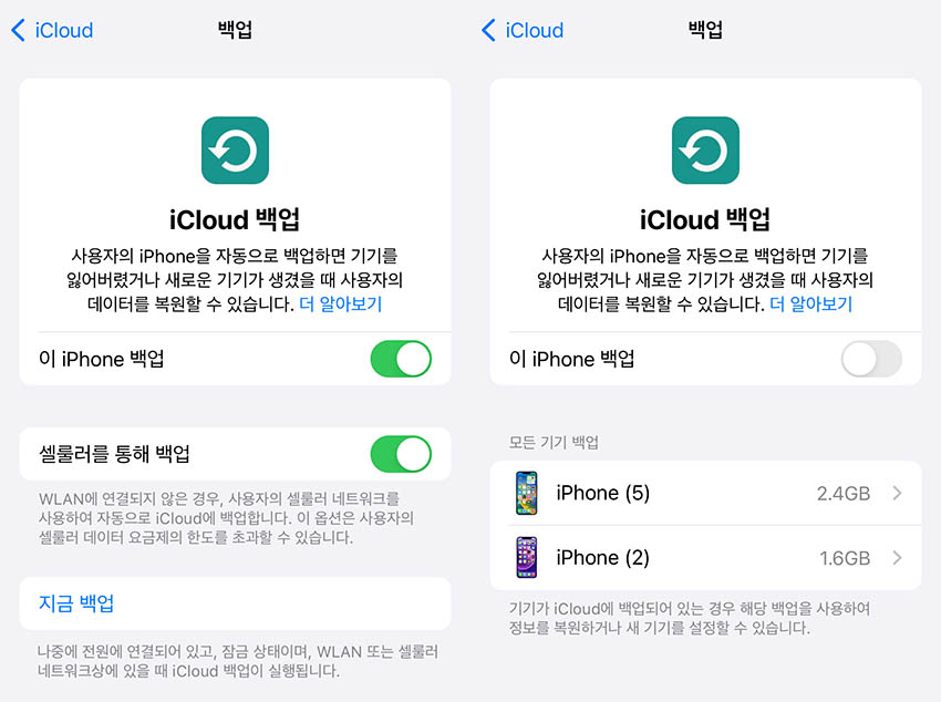아이패드 애플 아이디 로그아웃 불가한 이유