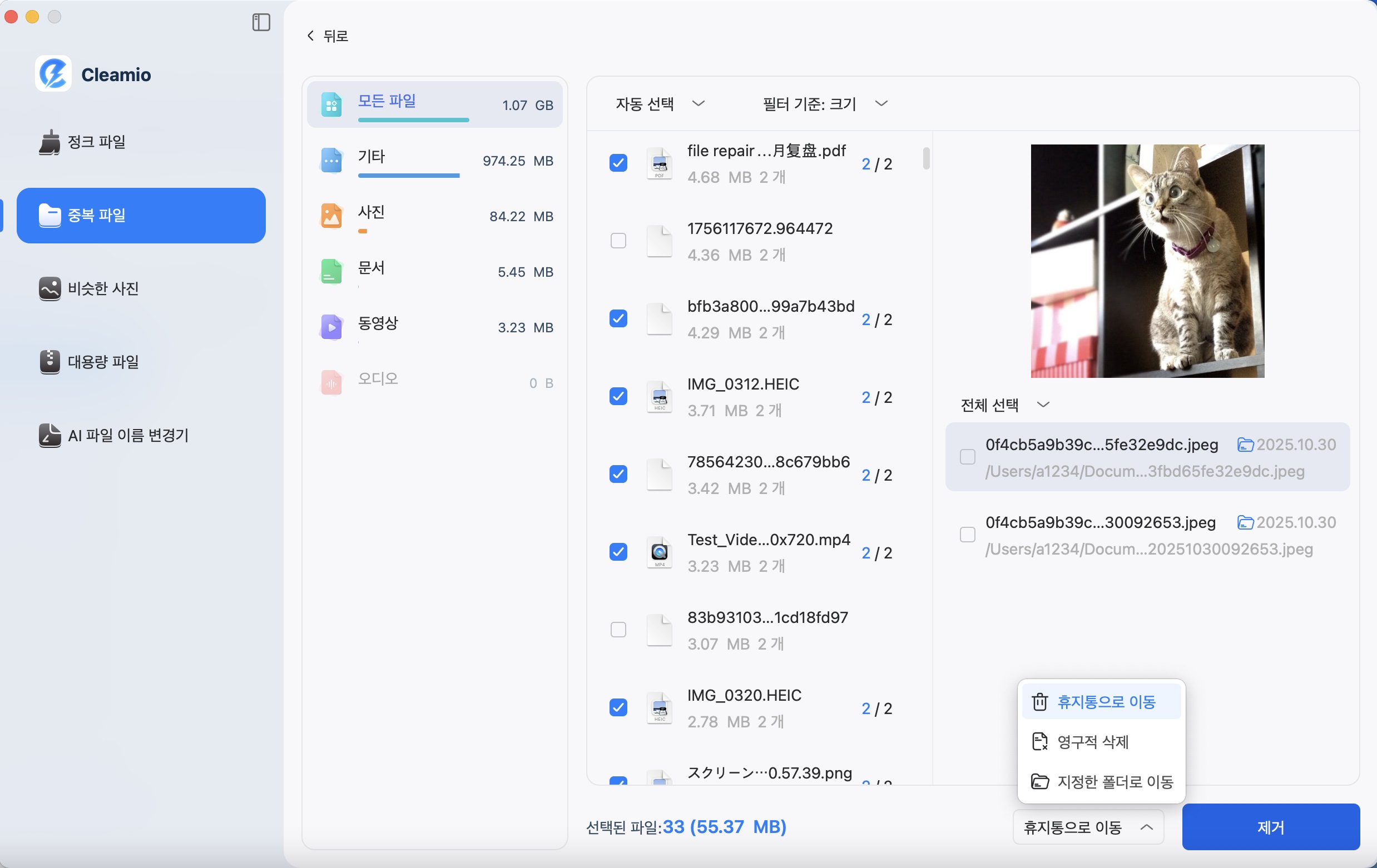 중복 파일 삭제 시작