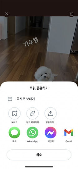 트위터 영상 공유하기
