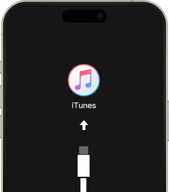 iPhone이 iTunes에 연결할 수 없음