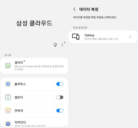 Samsung Cloud 백업 확인