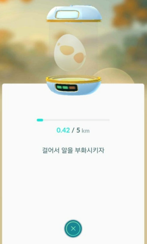 포고 플플