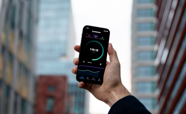 피크민 데이터 없이