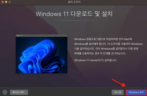 Windows 11 설치