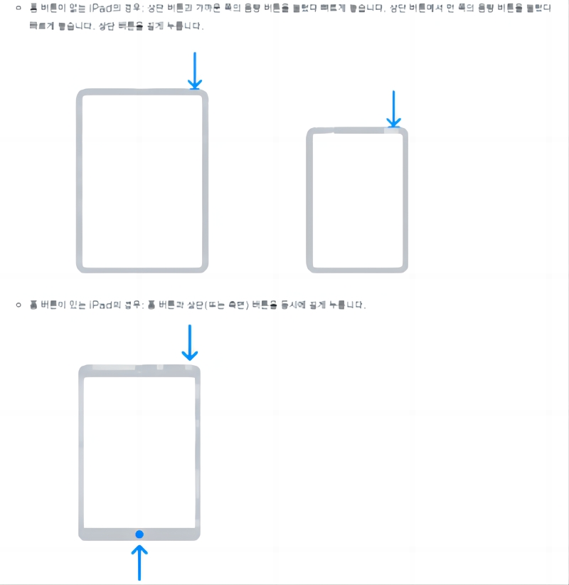 아이패드 4013 오류  Reiboot