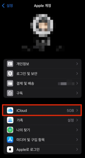 iCloud 선택