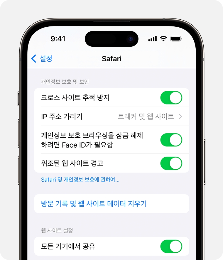 iOS 26 사파리 방문 기록 및 웹 데이터 지우기