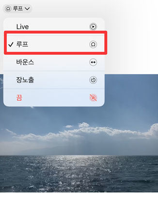  라이브포토 루프 모드