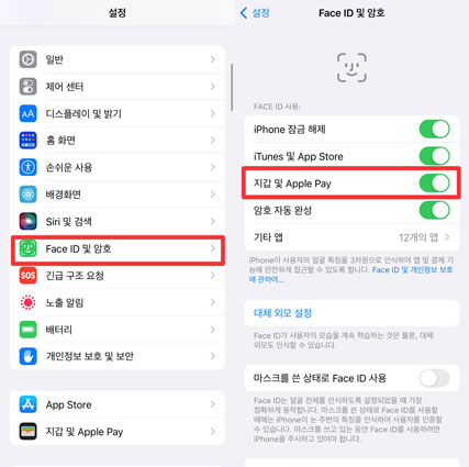 face id for apple pay