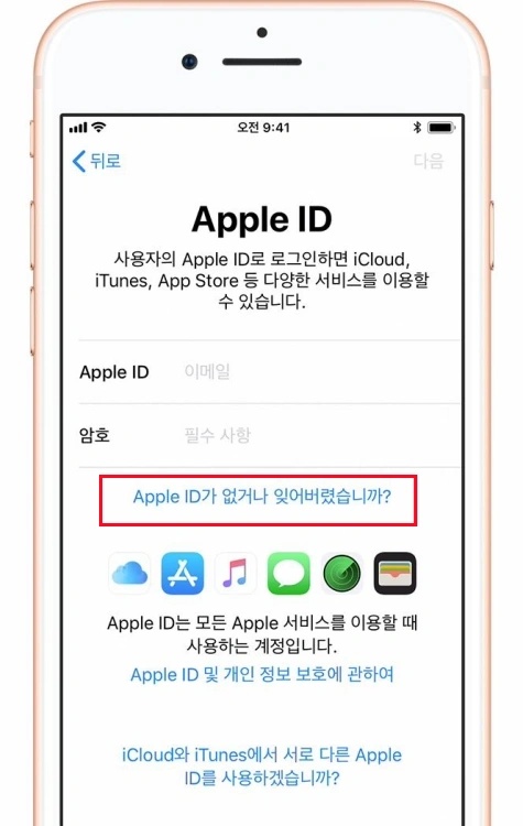 Apple 계정 확인