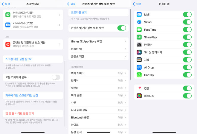 아이폰 제한 사항 확인
