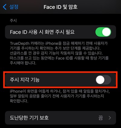 주시 지각 기능