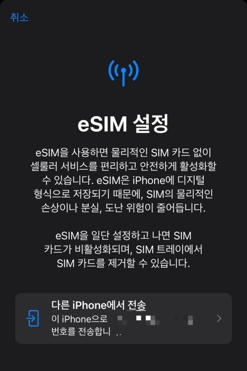 eSIM 활성화 설정