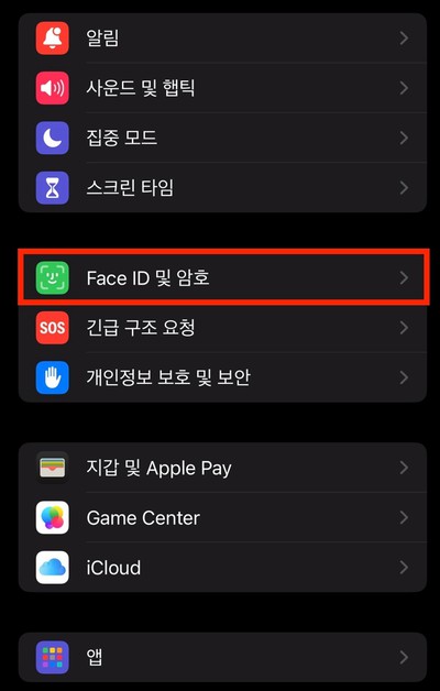 Face ID 및 암호