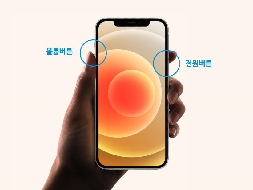 iPhone 강제 재시동