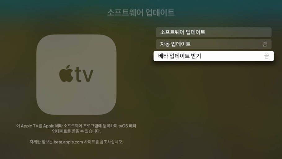 베타 업데이트