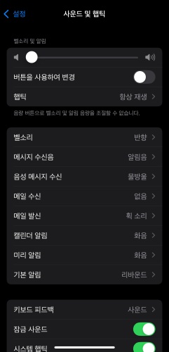 아이폰 알람 소리 크기