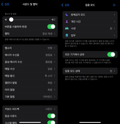 아이폰 알람 소리 크기