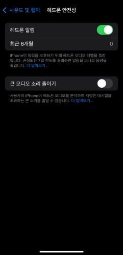 아이폰 알람 소리 크기