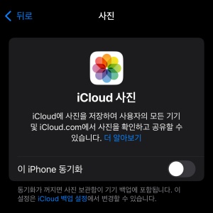 아이폰 사진