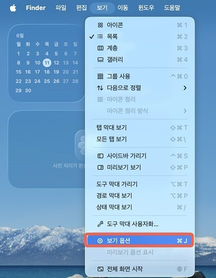 보기 옵션 선택