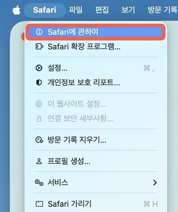사파리 버전 정보를 표시하는 화면