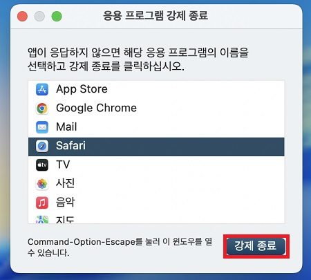 강제 종료할 앱 선택