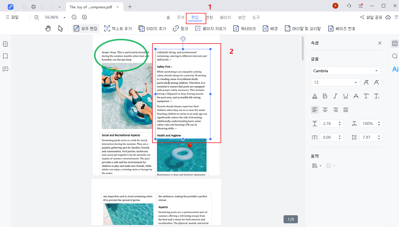 Tenorshare PDNob 텍스트 편집