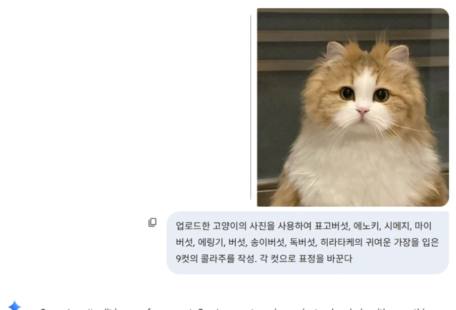 버섯 고양이