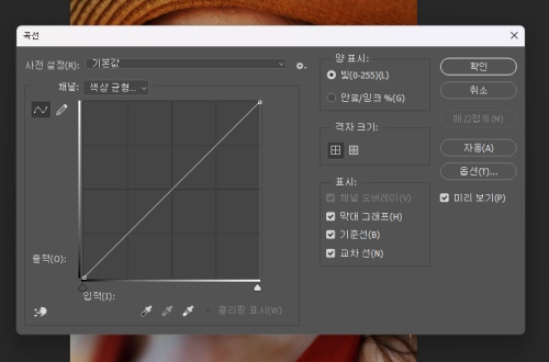 포토샵 색감 보정