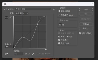 포토샵 인물 보정