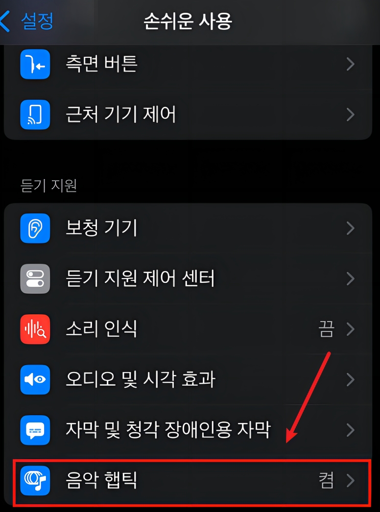  iOS 18  음악 햅틱 표시되지 않음