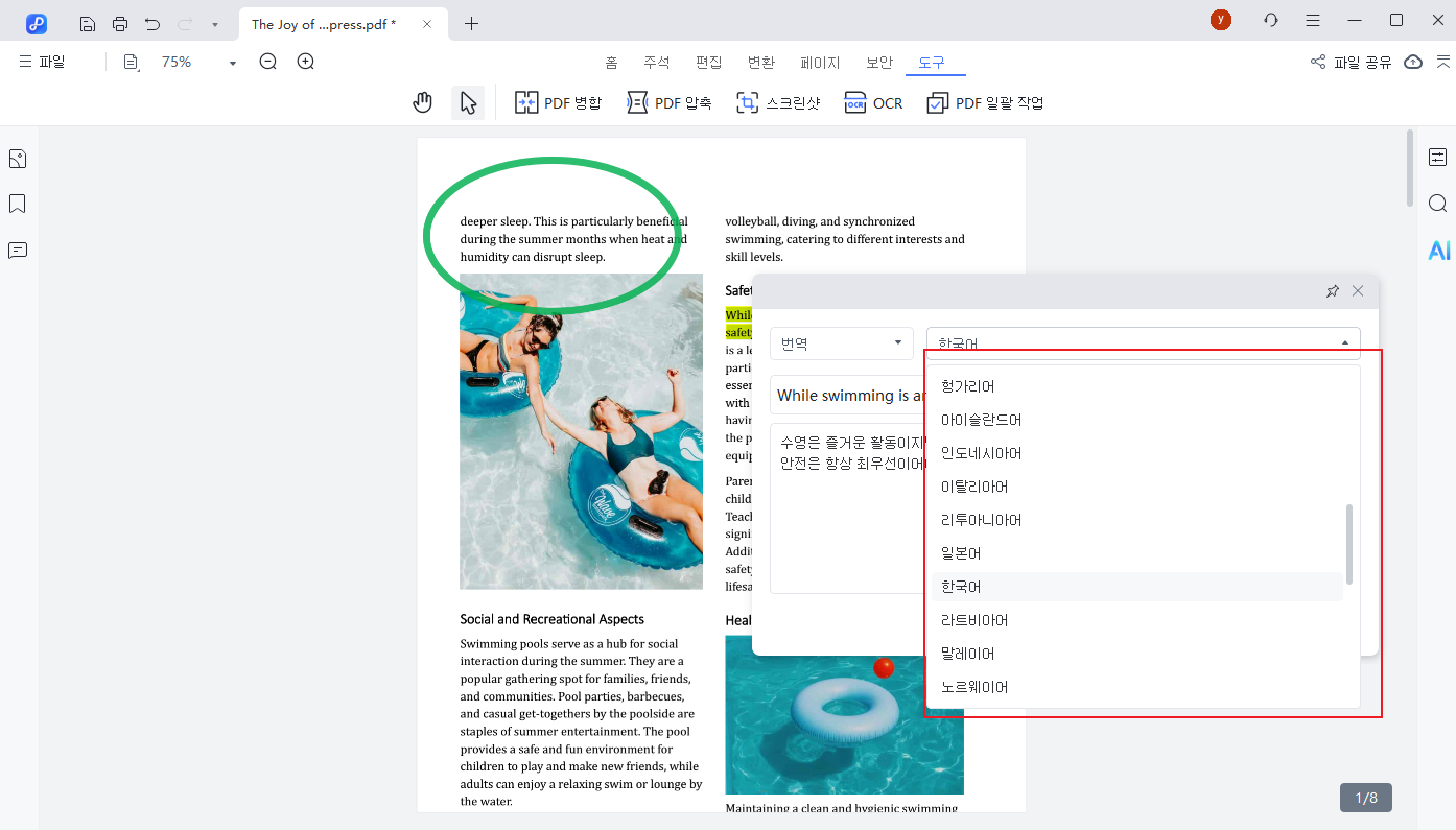 pdnob translate english 02