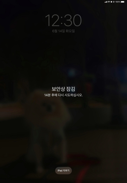 아이패드 지우기