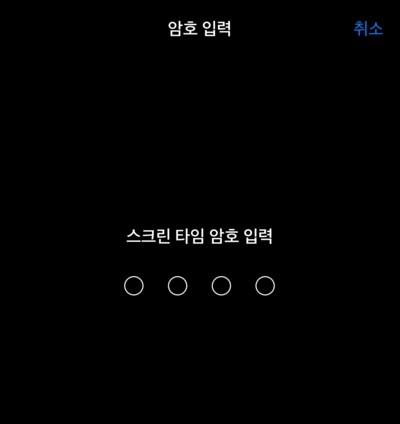 스크린 타임 비밀번호 입력